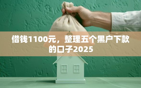 借钱1100元，整理五个黑户下款的口子2025