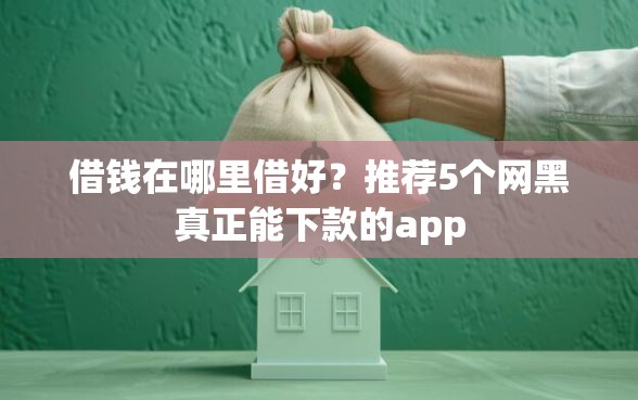借钱在哪里借好？推荐5个网黑真正能下款的app
