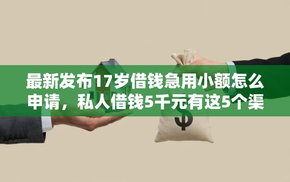 最新发布17岁借钱急用小额怎么申请，私人借钱5千元有这5个渠道