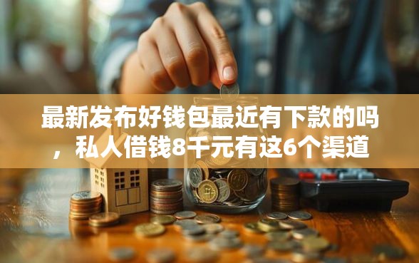 最新发布好钱包最近有下款的吗，私人借钱8千元有这6个渠道