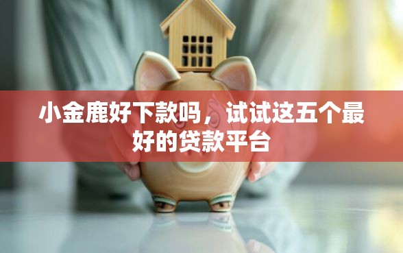 小金鹿好下款吗，试试这五个最好的贷款平台