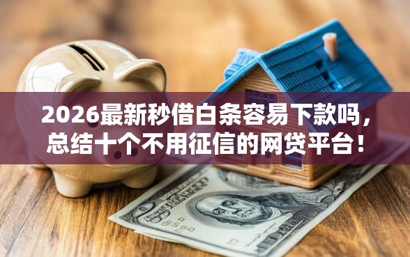 2026最新秒借白条容易下款吗，总结十个不用征信的网贷平台！
