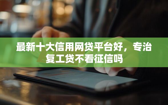 最新十大信用网贷平台好，专治复工贷不看征信吗