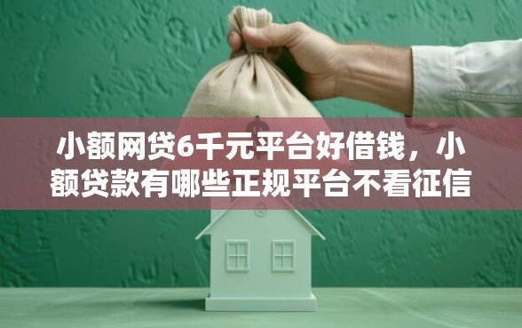 小额网贷6千元平台好借钱，小额贷款有哪些正规平台不看征信的7个平台介绍
