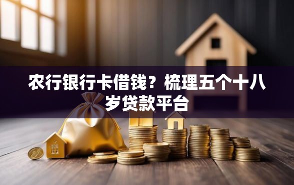 农行银行卡借钱？梳理五个十八岁贷款平台