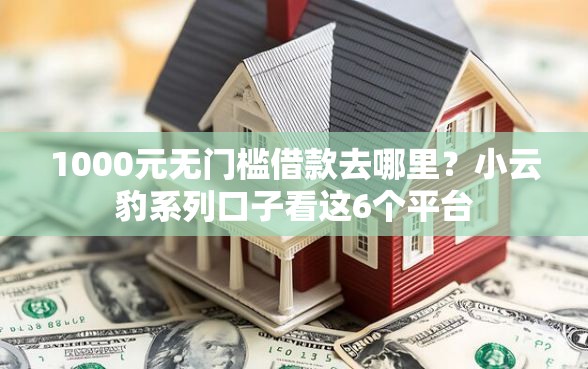 1000元无门槛借款去哪里？小云豹系列口子看这6个平台