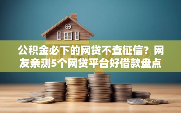 公积金必下的网贷不查征信？网友亲测5个网贷平台好借款盘点