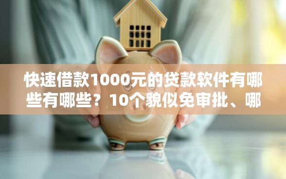 快速借款1000元的贷款软件有哪些有哪些？10个貌似免审批、哪些低息可靠可以分12期以上的借款平台合集