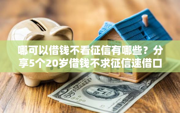 哪可以借钱不看征信有哪些？分享5个20岁借钱不求征信速借口子