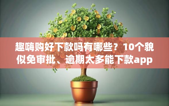 趣嗨购好下款吗有哪些？10个貌似免审批、逾期太多能下款app合集