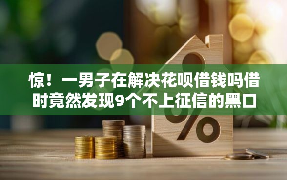 惊！一男子在解决花呗借钱吗借时竟然发现9个不上征信的黑口子，事后分享了出来