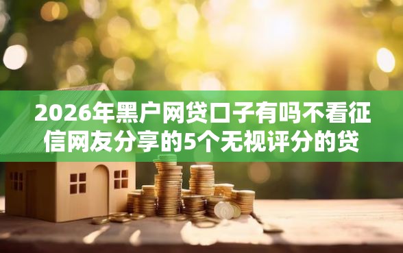 2026年黑户网贷口子有吗不看征信网友分享的5个无视评分的贷款平台我觉得不错！