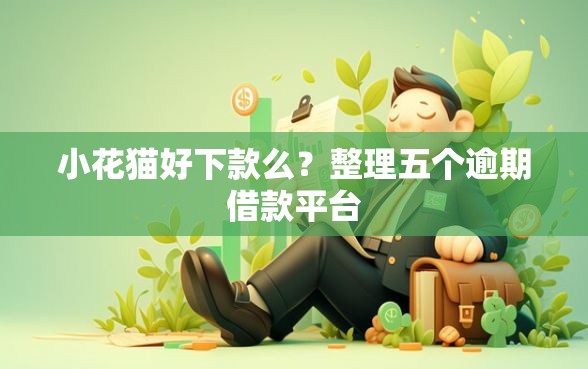 小花猫好下款么？整理五个逾期借款平台