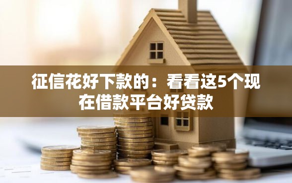 征信花好下款的：看看这5个现在借款平台好贷款