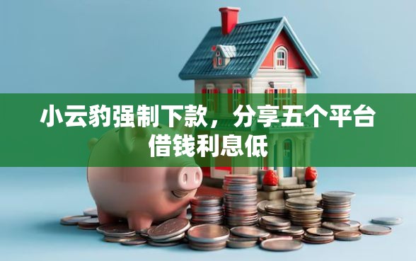 小云豹强制下款，分享五个平台借钱利息低