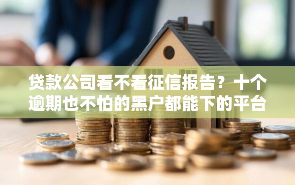 贷款公司看不看征信报告？十个逾期也不怕的黑户都能下的平台