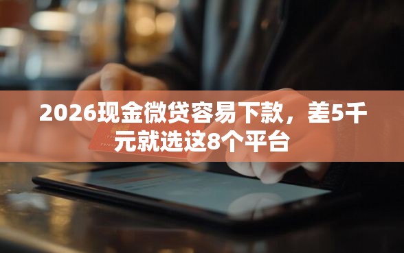 2026现金微贷容易下款，差5千元就选这8个平台