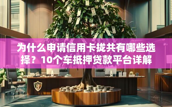 为什么申请信用卡拢共有哪些选择？10个车抵押贷款平台详解