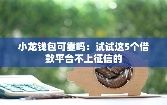 小龙钱包可靠吗：试试这5个借款平台不上征信的