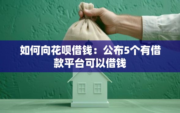 如何向花呗借钱：公布5个有借款平台可以借钱