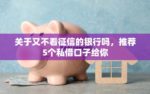 关于又不看征信的银行吗，推荐5个私借口子给你
