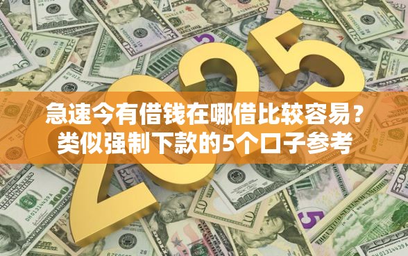 急速今有借钱在哪借比较容易？类似强制下款的5个口子参考