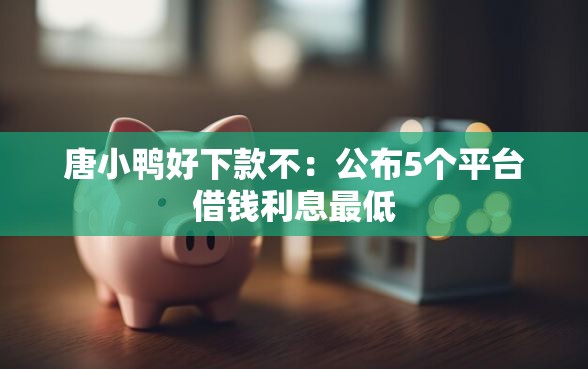 唐小鸭好下款不：公布5个平台借钱利息最低