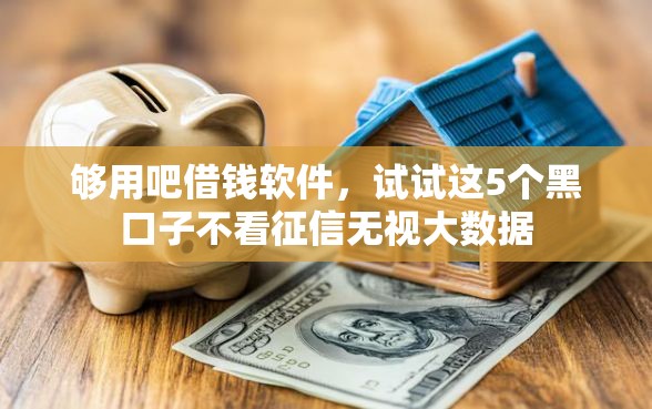 够用吧借钱软件，试试这5个黑口子不看征信无视大数据