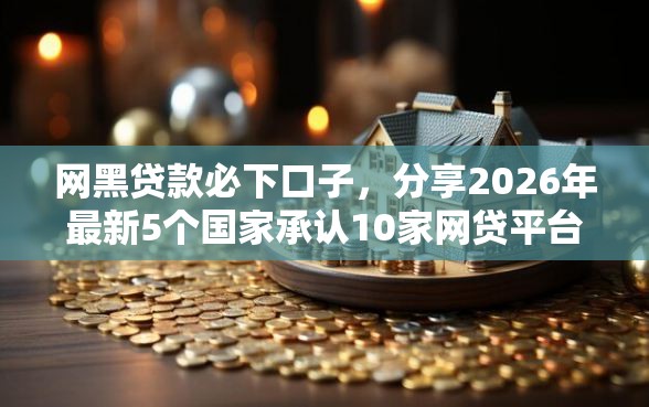 网黑贷款必下口子，分享2026年最新5个国家承认10家网贷平台
