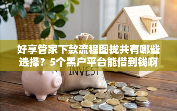 好享管家下款流程图拢共有哪些选择？5个黑户平台能借到钱啊急用详解