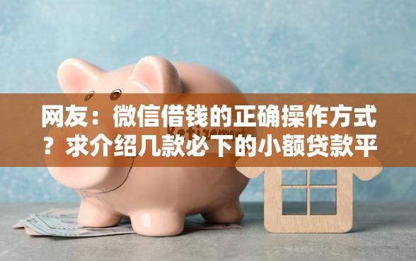 网友：微信借钱的正确操作方式？求介绍几款必下的小额贷款平台