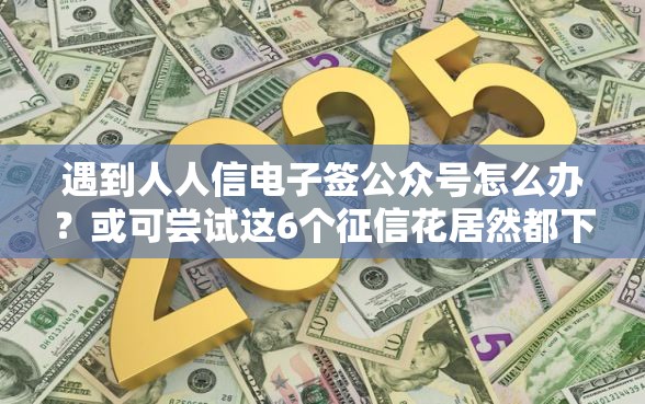 遇到人人信电子签公众号怎么办？或可尝试这6个征信花居然都下款的平台