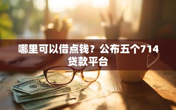 哪里可以借点钱？公布五个714贷款平台