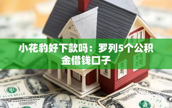 小花豹好下款吗：罗列5个公积金借钱口子