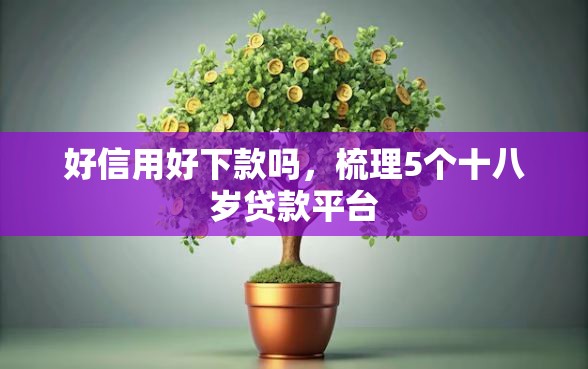 好信用好下款吗，梳理5个十八岁贷款平台