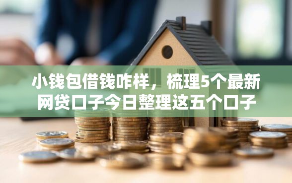 小钱包借钱咋样，梳理5个最新网贷口子今日整理这五个口子