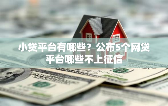 小贷平台有哪些？公布5个网贷平台哪些不上征信