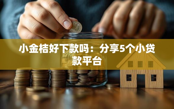 小金桔好下款吗：分享5个小贷款平台