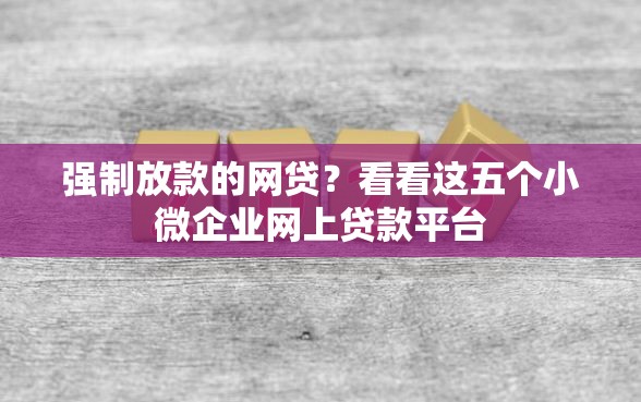 强制放款的网贷？看看这五个小微企业网上贷款平台