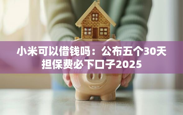 小米可以借钱吗：公布五个30天担保费必下口子2025