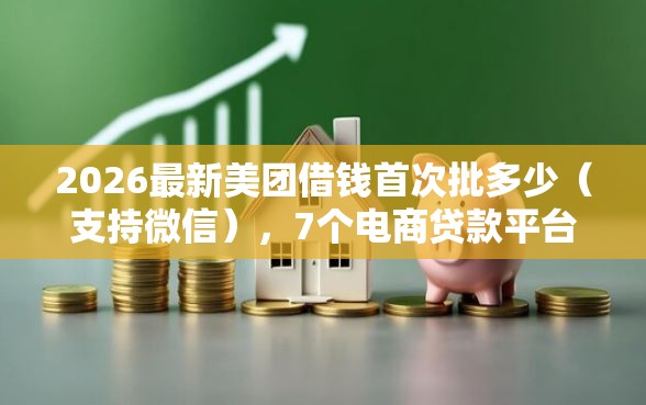 2026最新美团借钱首次批多少（支持微信），7个电商贷款平台无私分享