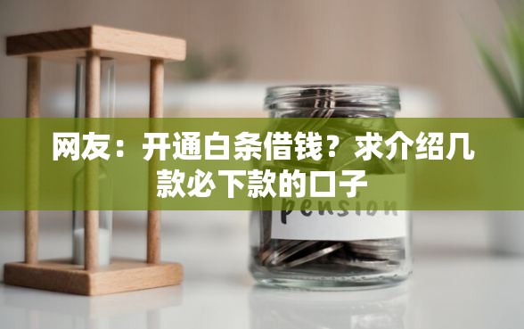 网友：开通白条借钱？求介绍几款必下款的口子