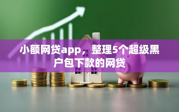 小额网贷app，整理5个超级黑户包下款的网贷