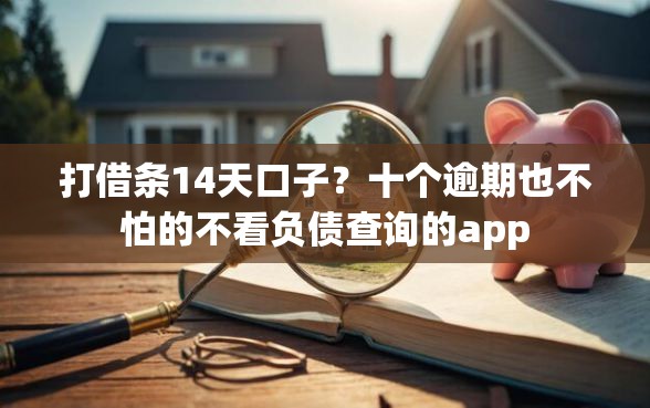 打借条14天口子？十个逾期也不怕的不看负债查询的app