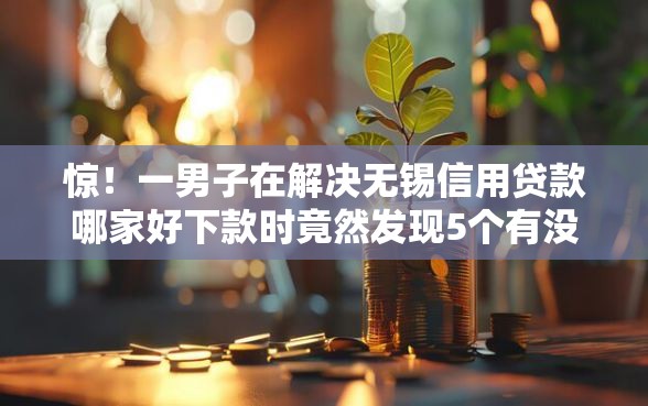 惊！一男子在解决无锡信用贷款哪家好下款时竟然发现5个有没有当前逾期能下款的口子，事后分享了出来