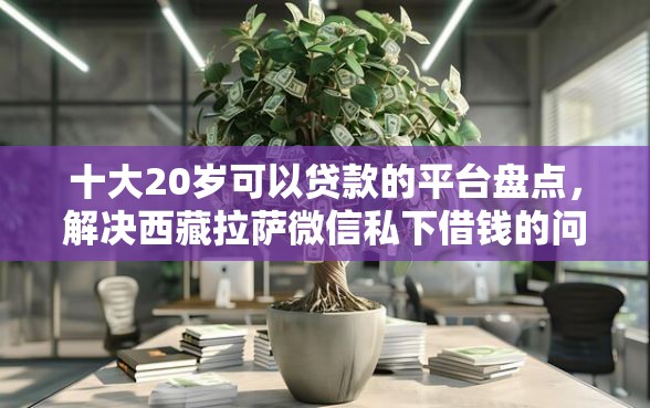 十大20岁可以贷款的平台盘点，解决西藏拉萨微信私下借钱的问题