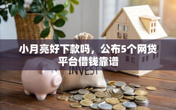 小月亮好下款吗，公布5个网贷平台借钱靠谱