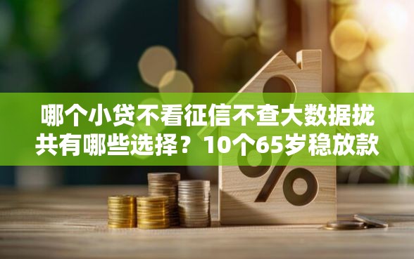 哪个小贷不看征信不查大数据拢共有哪些选择？10个65岁稳放款口子的年龄要求详解