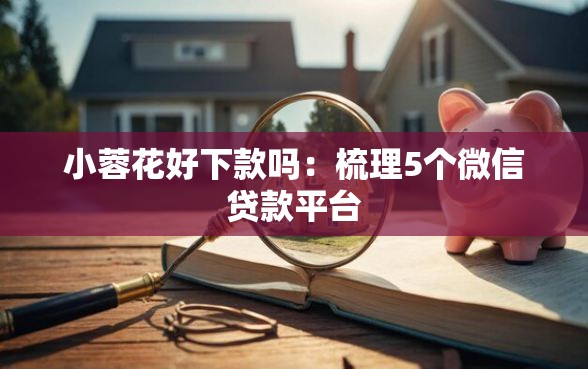 小蓉花好下款吗：梳理5个微信贷款平台