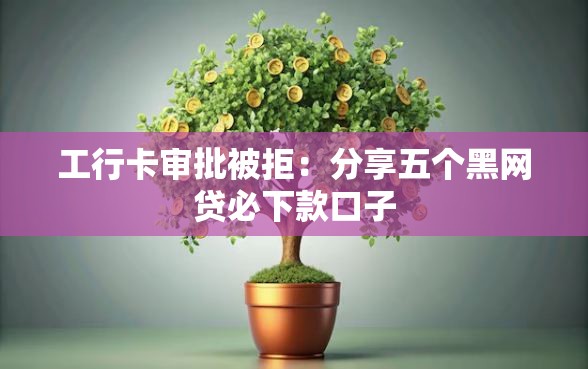 工行卡审批被拒：分享五个黑网贷必下款口子